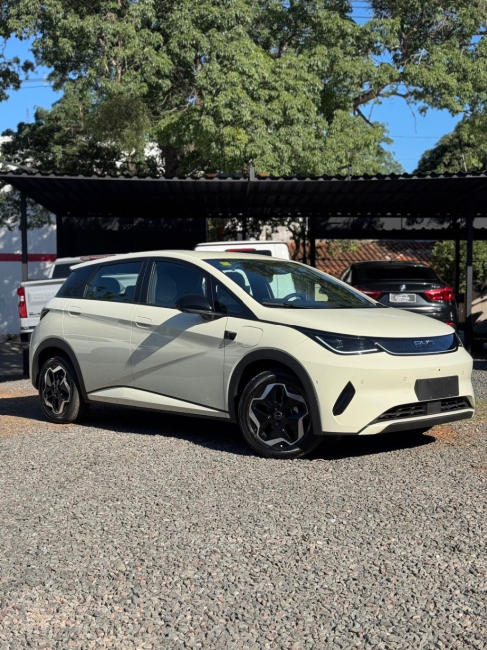 BYD Dolphin 2026