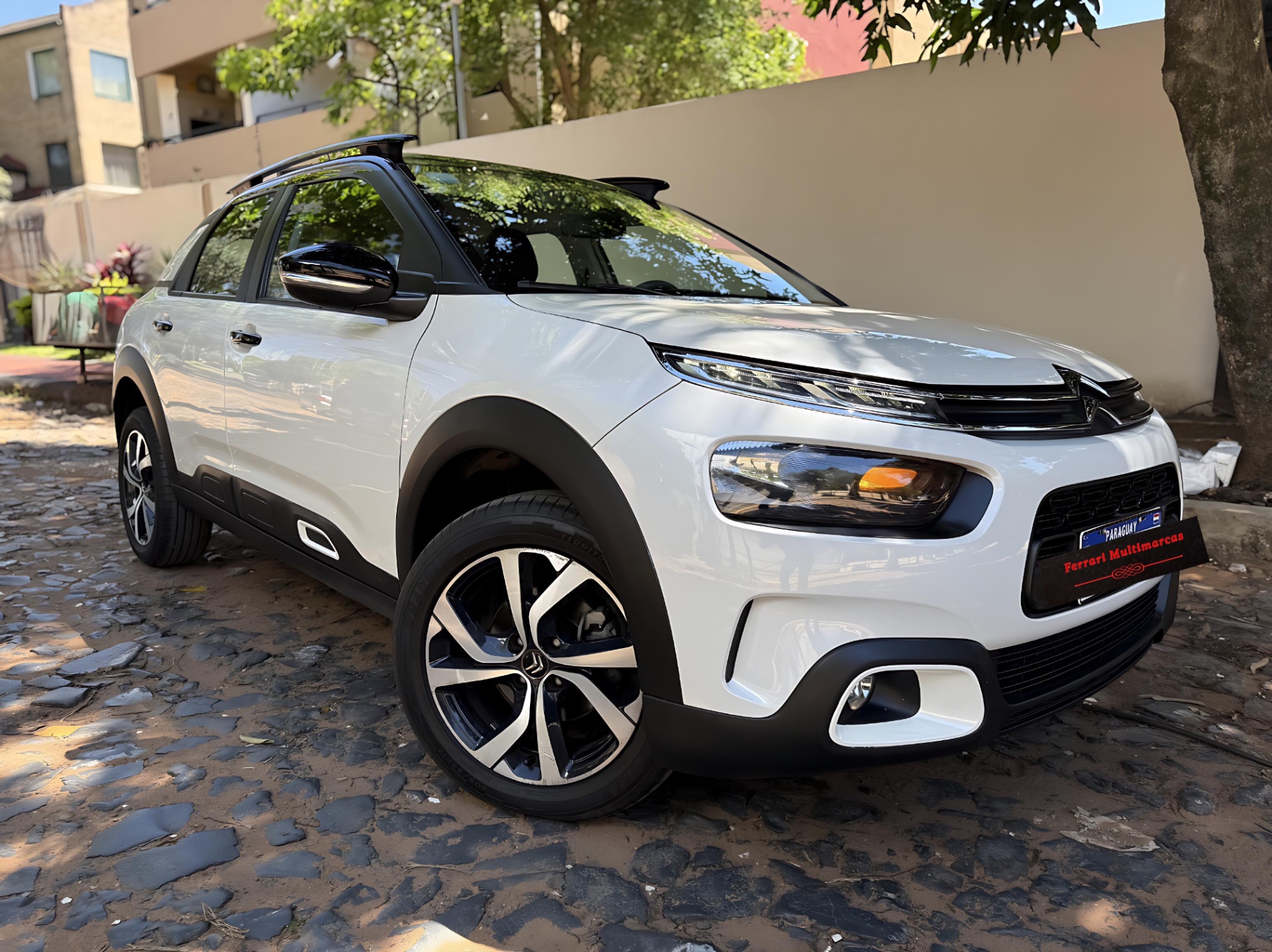 CITROËN C4 Cactus Shine 2020