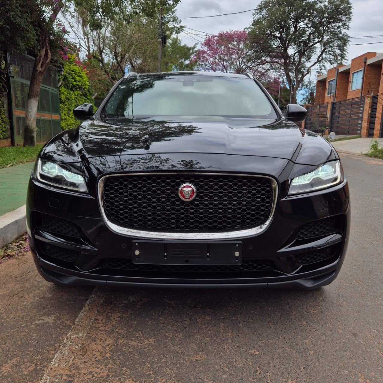 JAGUAR F PASE 20D 2019