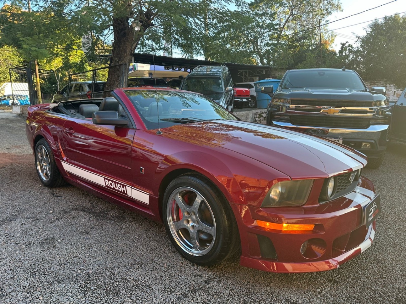 Ford Mustang Rush 2005