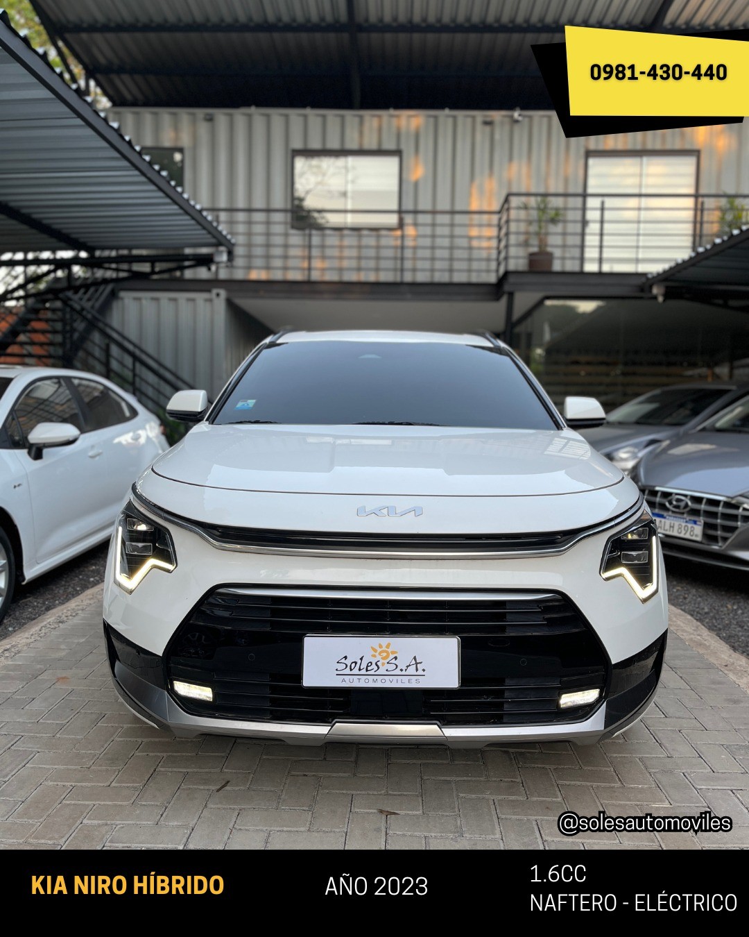 Kia Niro Hibrido 2023